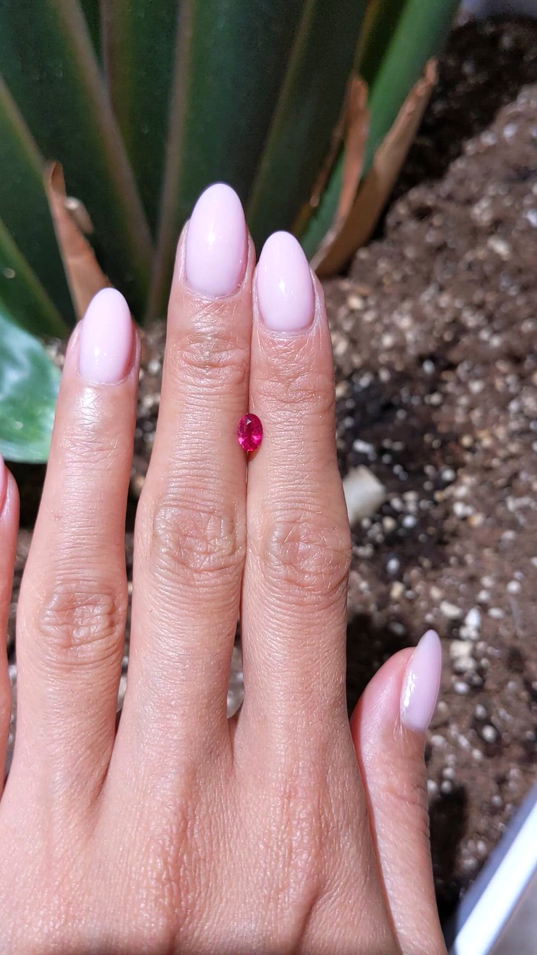 0.43 Ct. Pinkish Red Ruby from Thailand Size Video
