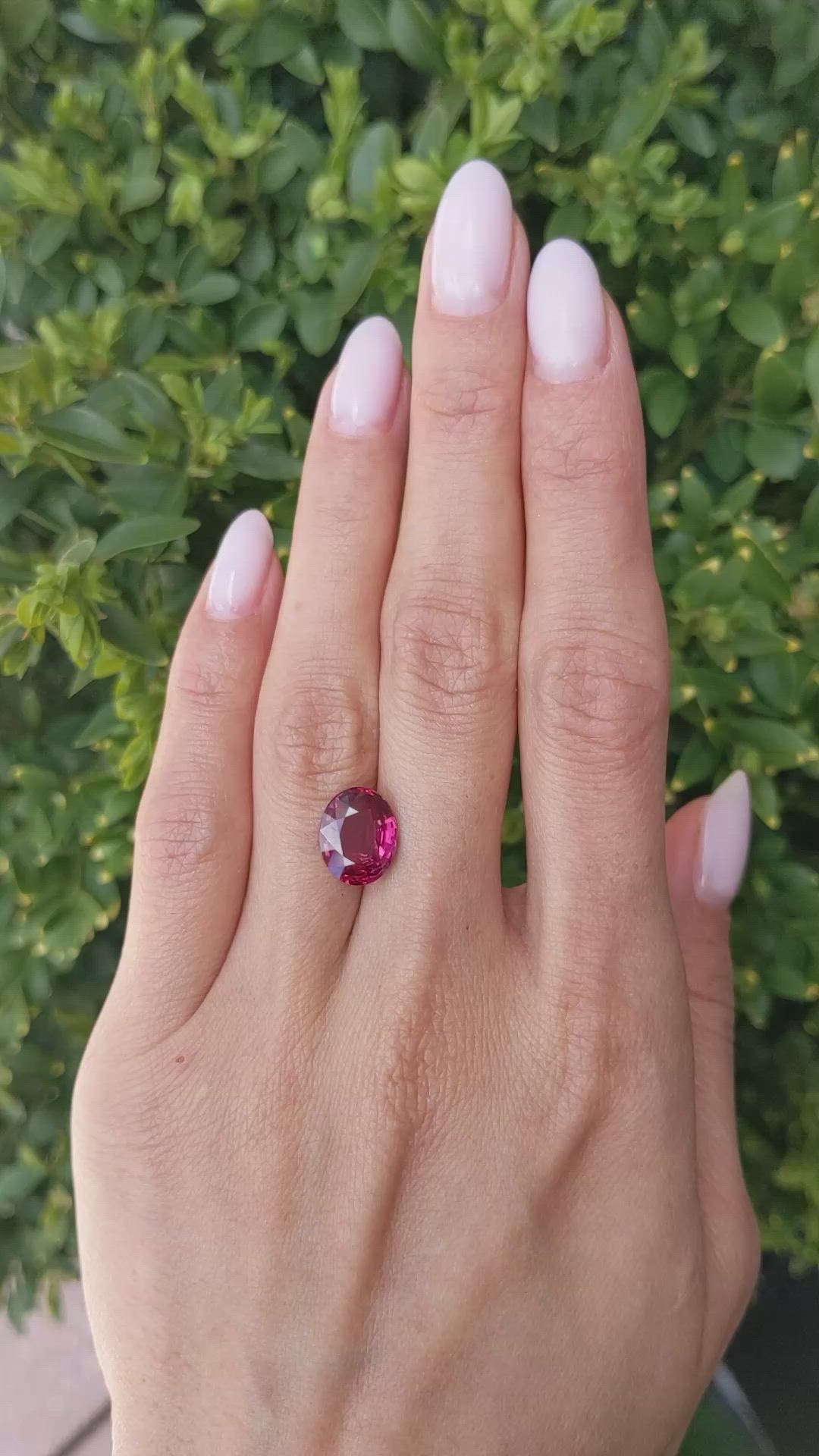 5.00 Ct. Ruby from Mozambique Size Video