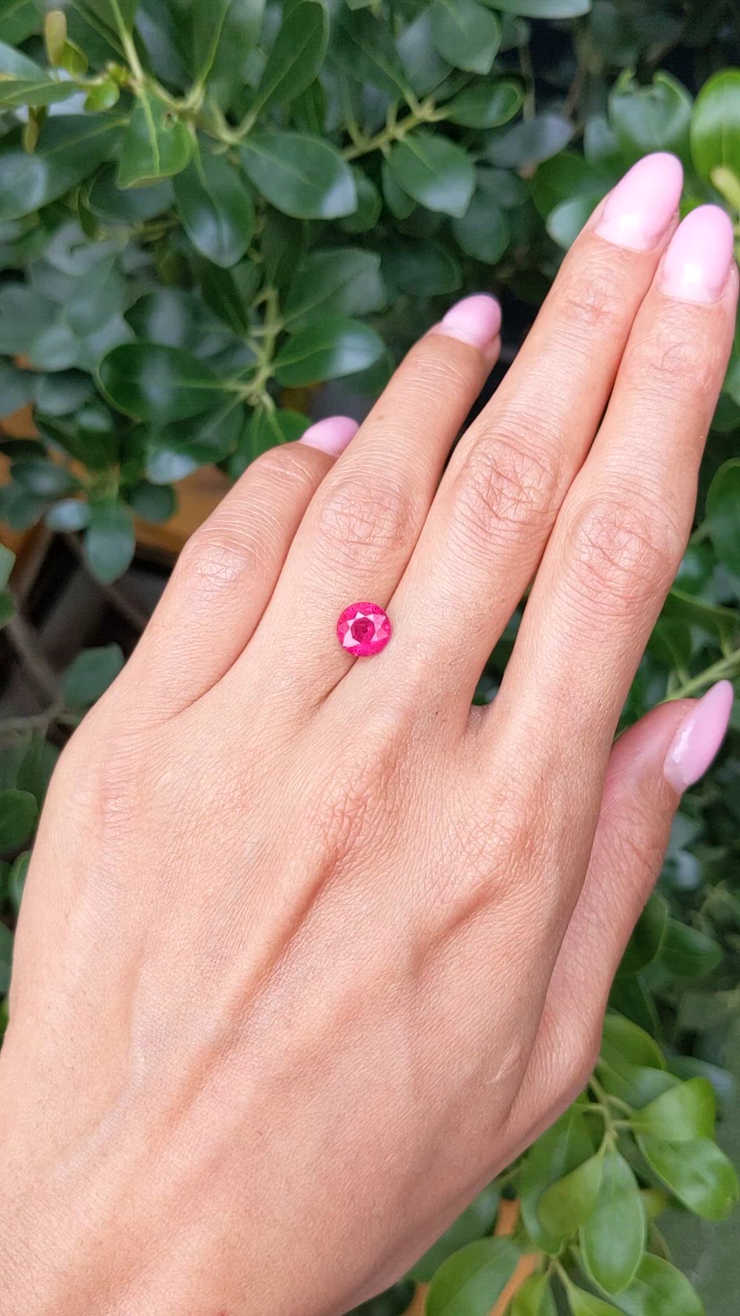 1.81 Ct. Ruby from Mozambique Size Video