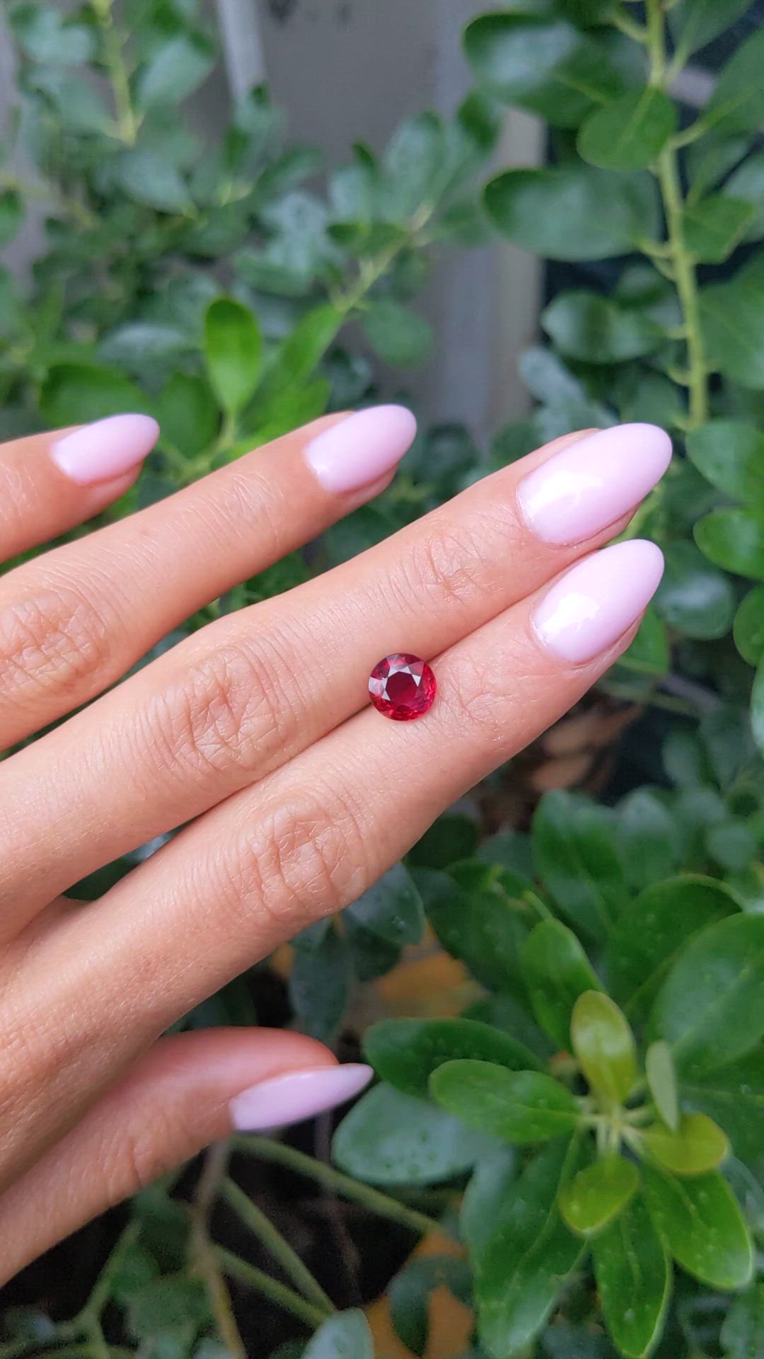 1.90 Ct. Ruby from Mozambique Size Video