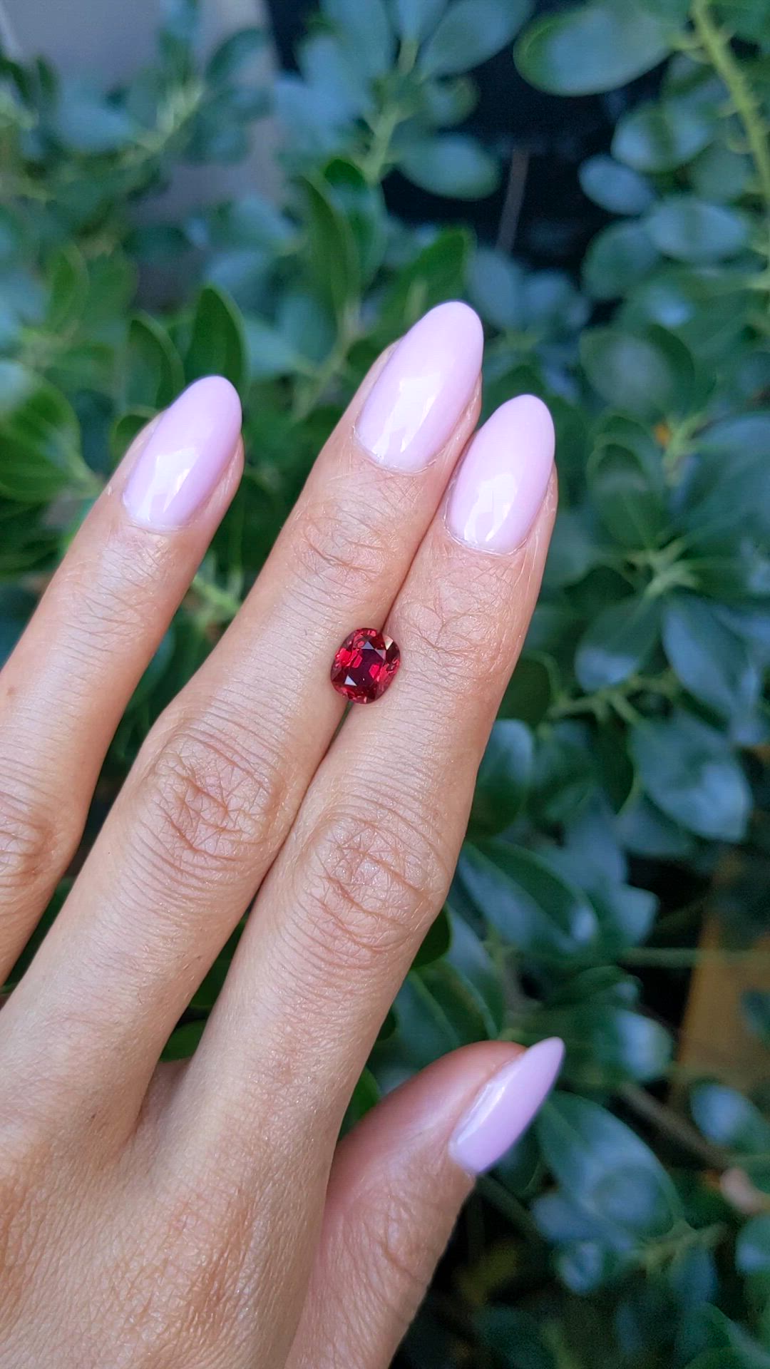 1.85 Ct. Ruby from Mozambique Size Video