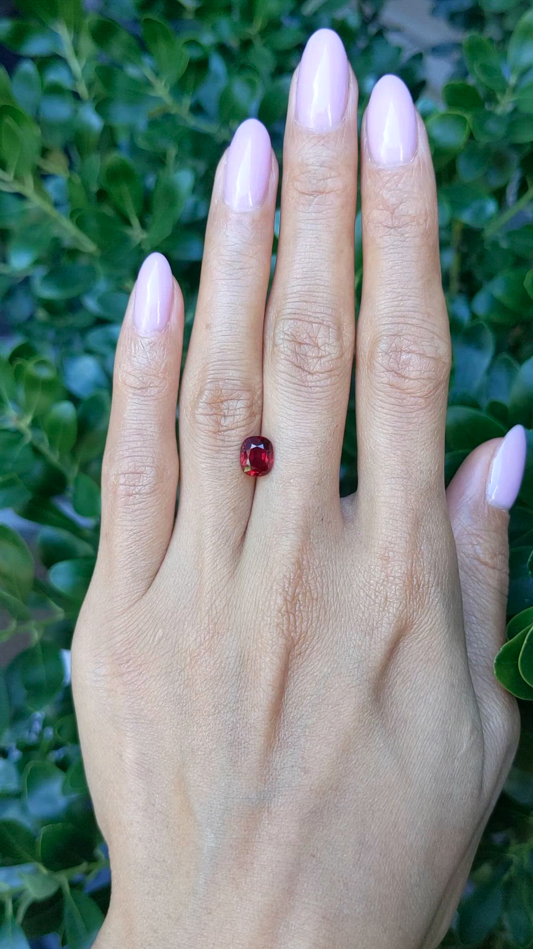1.85 Ct. Ruby from Mozambique Size Video