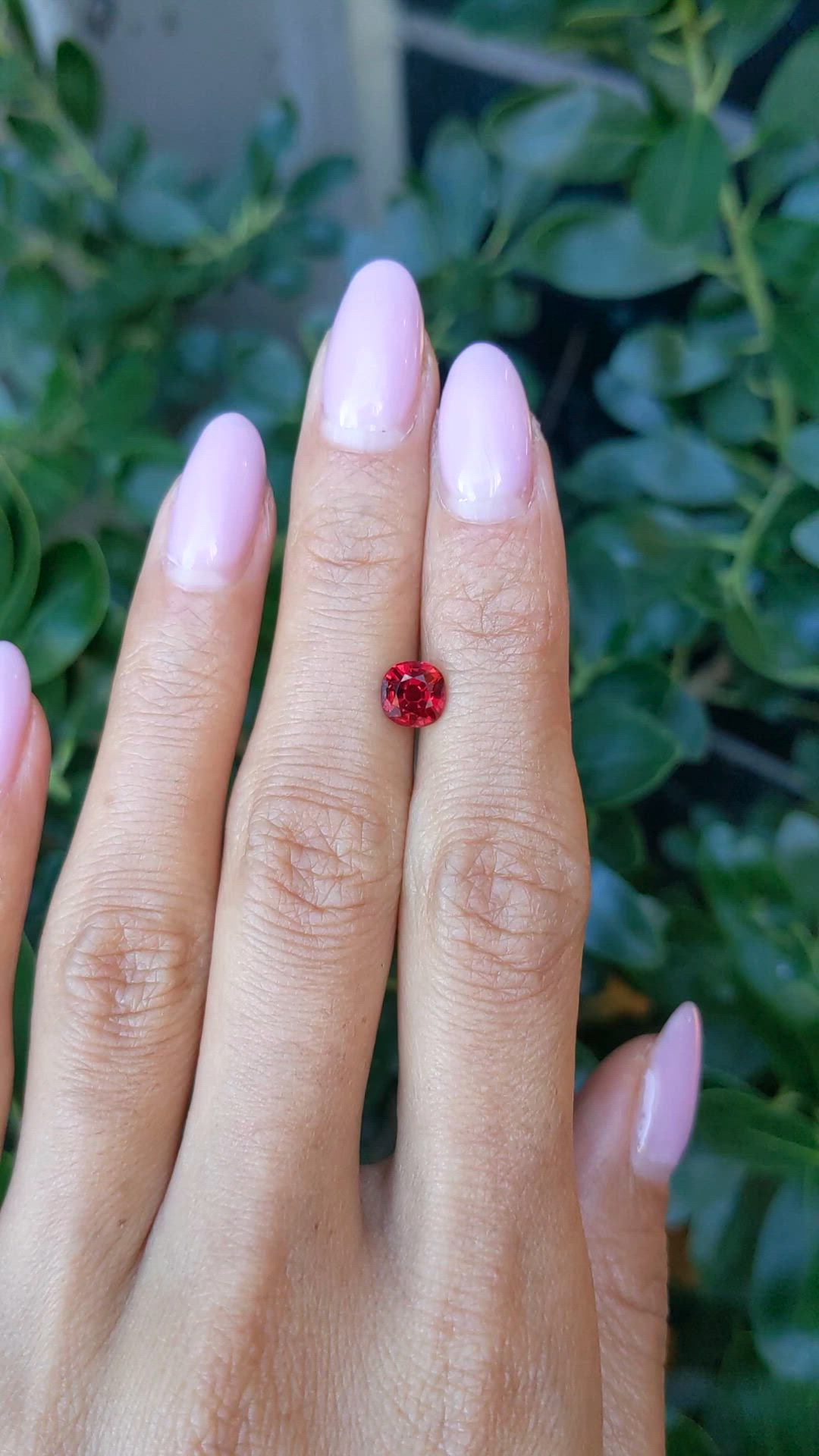 1.26 Ct. Ruby from Mozambique Size Video