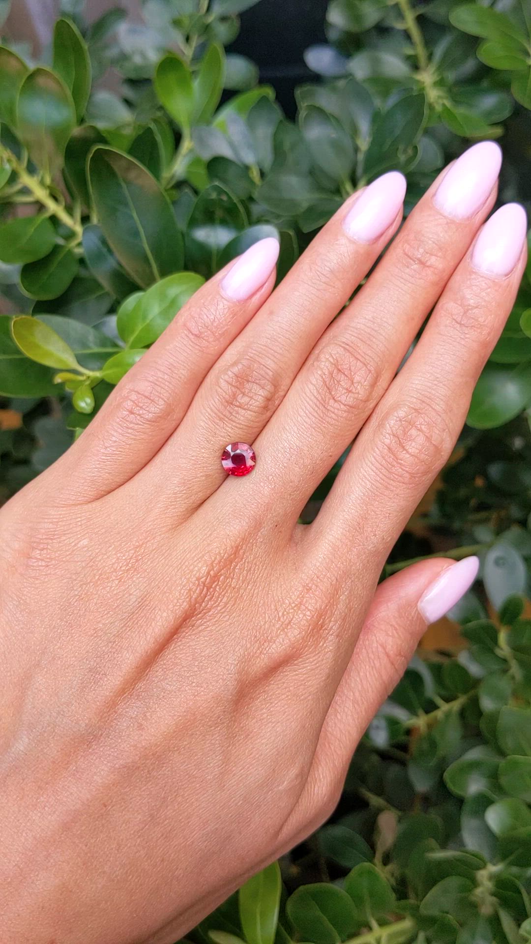 1.52 Ct. Ruby from Mozambique Size Video