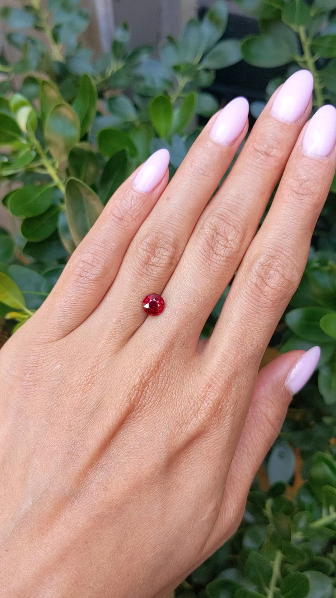 1.56 Ct. Ruby from Mozambique Size Video