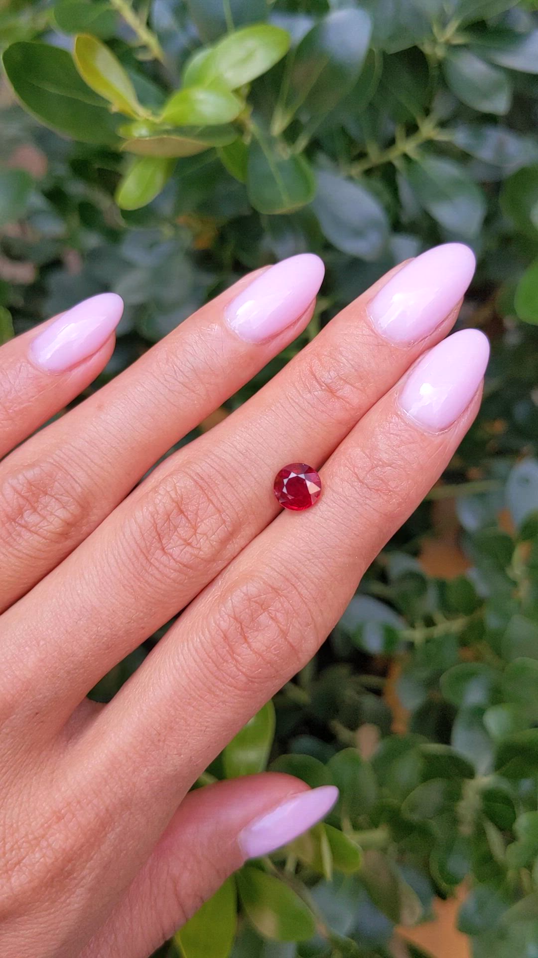 1.45 Ct. Ruby from Mozambique Size Video