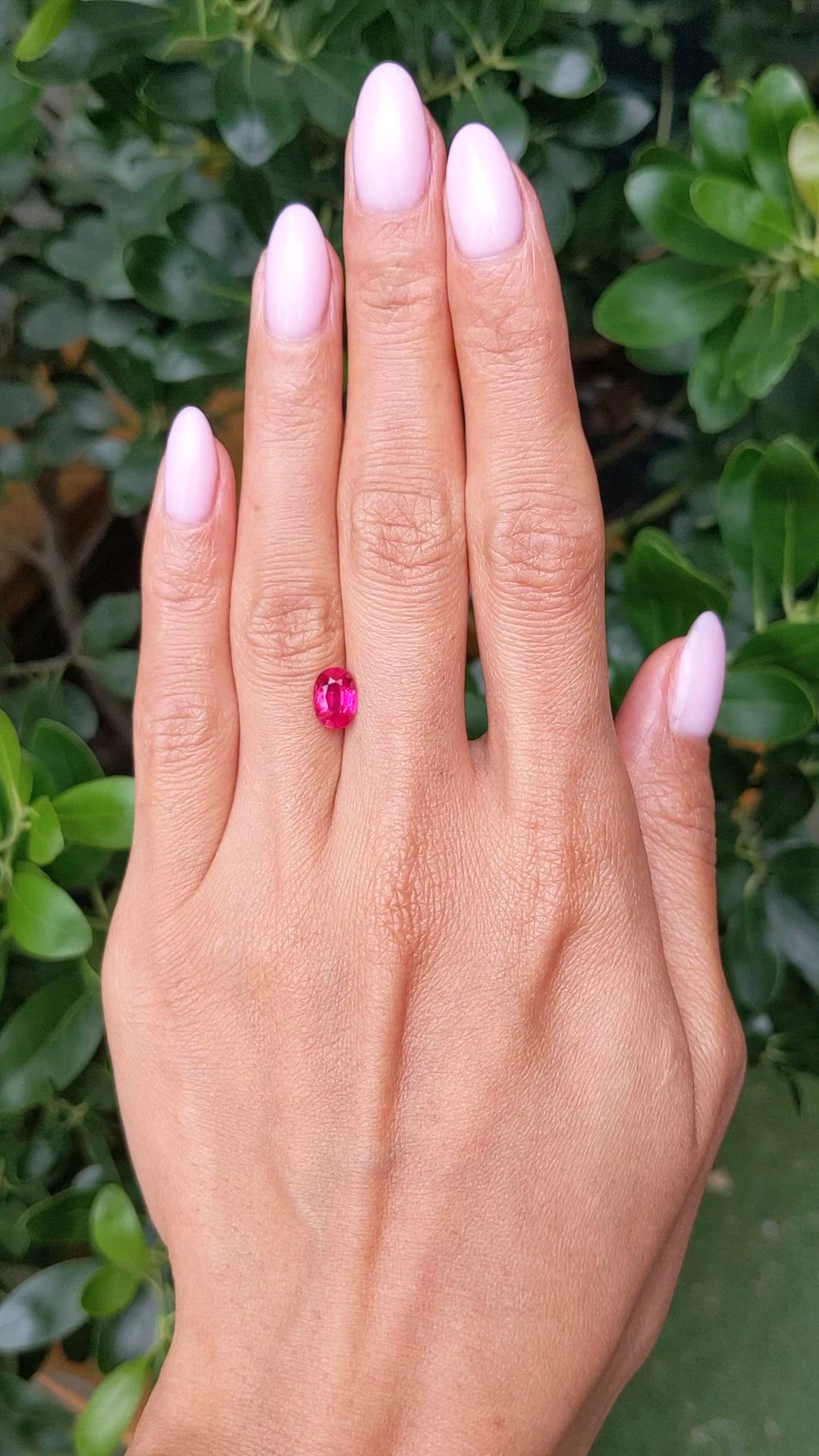 1.42 Ct. Ruby from Mozambique Size Video