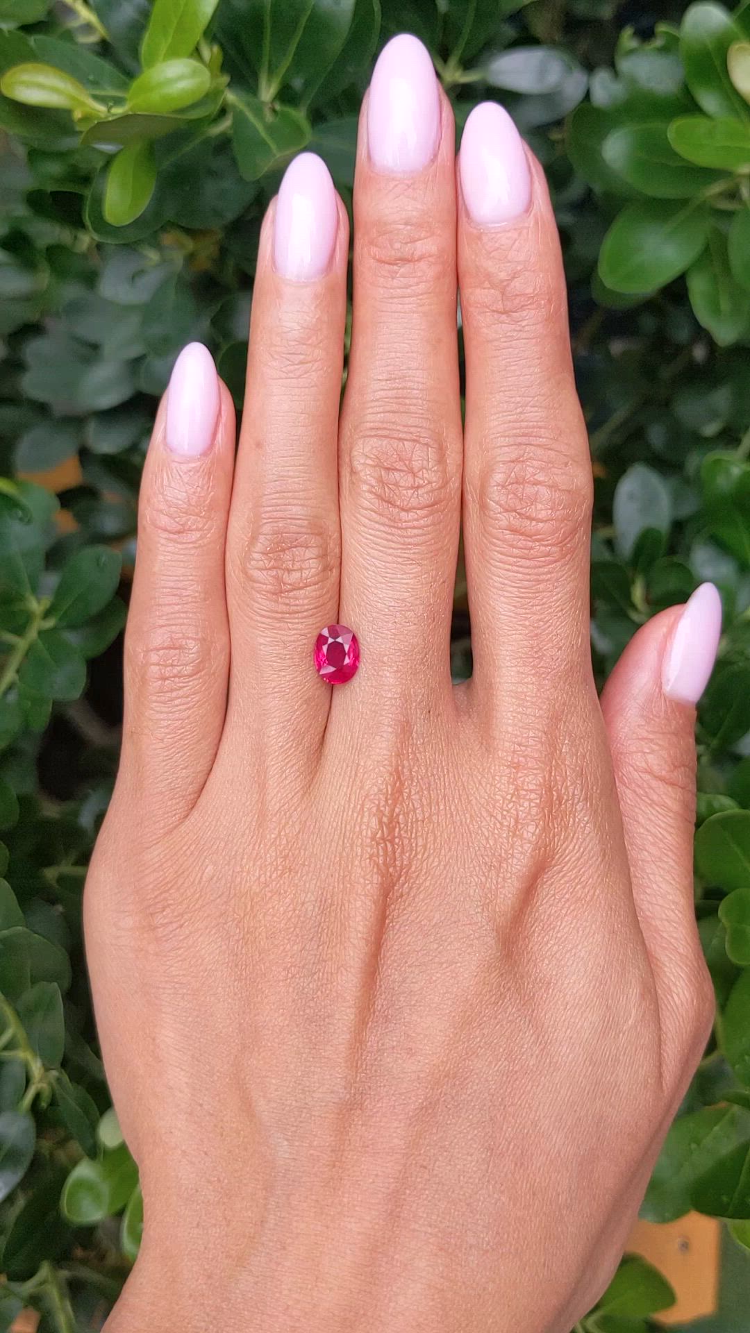 1.30 Ct. Ruby from Ceylon (Sri Lanka) Size Video