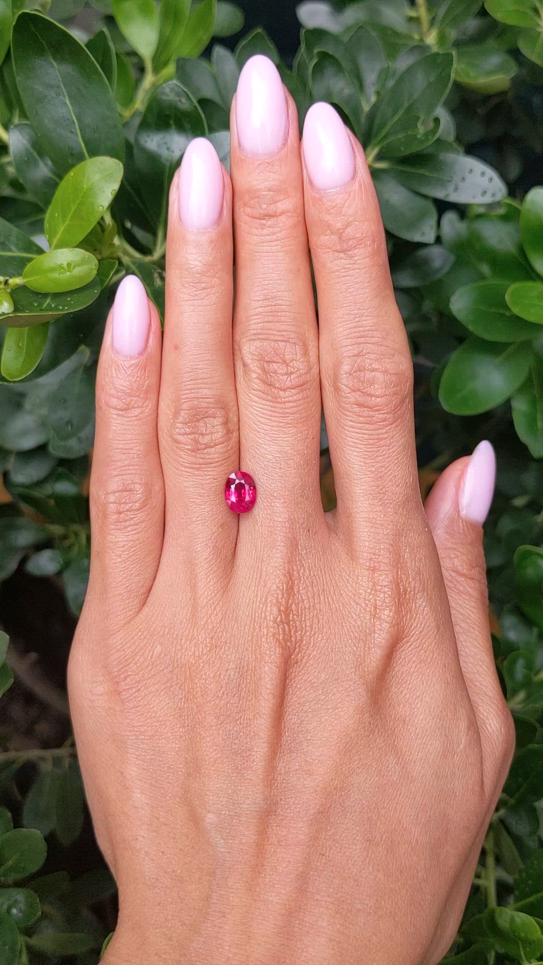 1.44 Ct. Ruby from Ceylon (Sri Lanka) Size Video