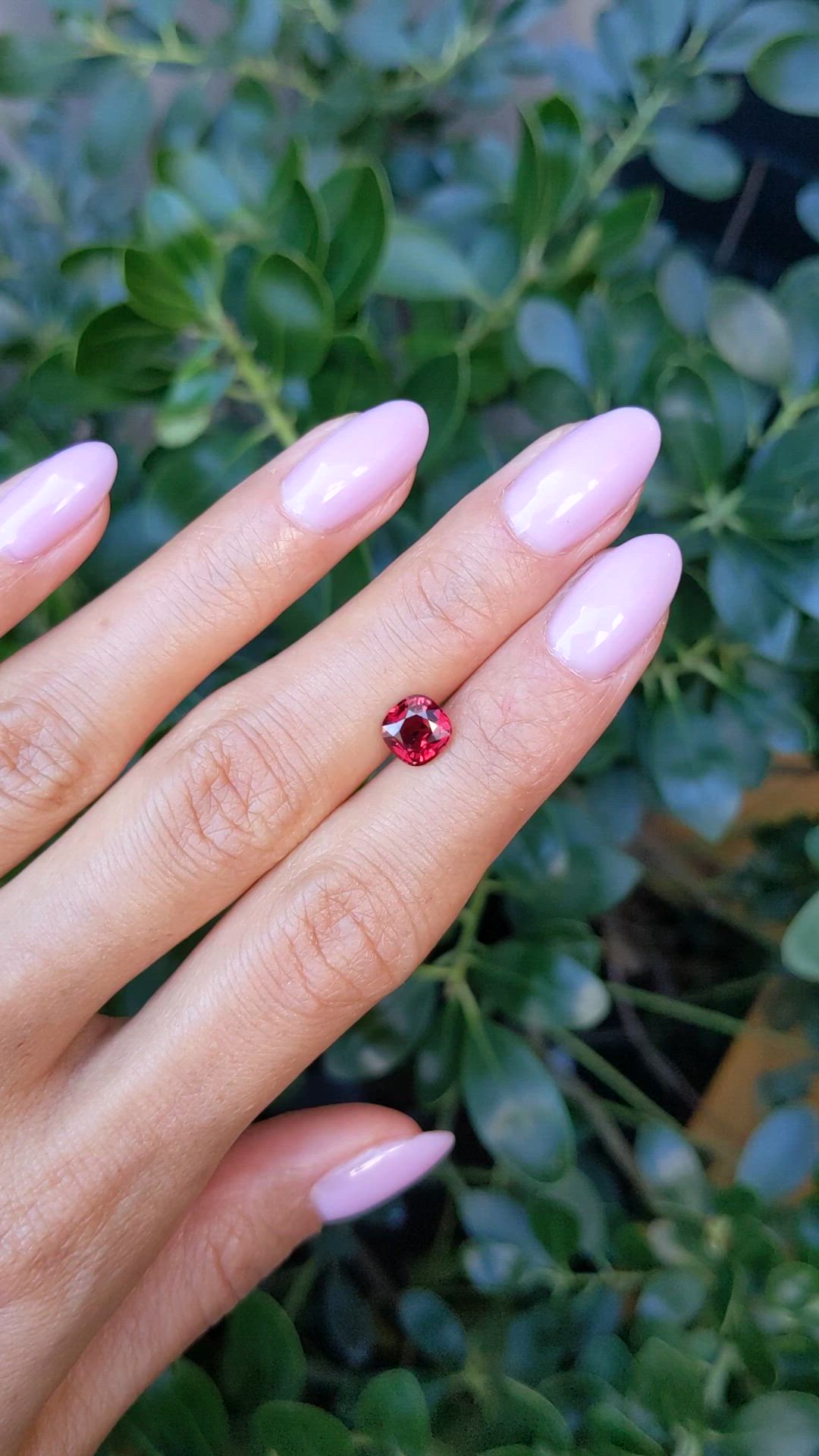 1.53 Ct. Ruby from Mozambique Size Video