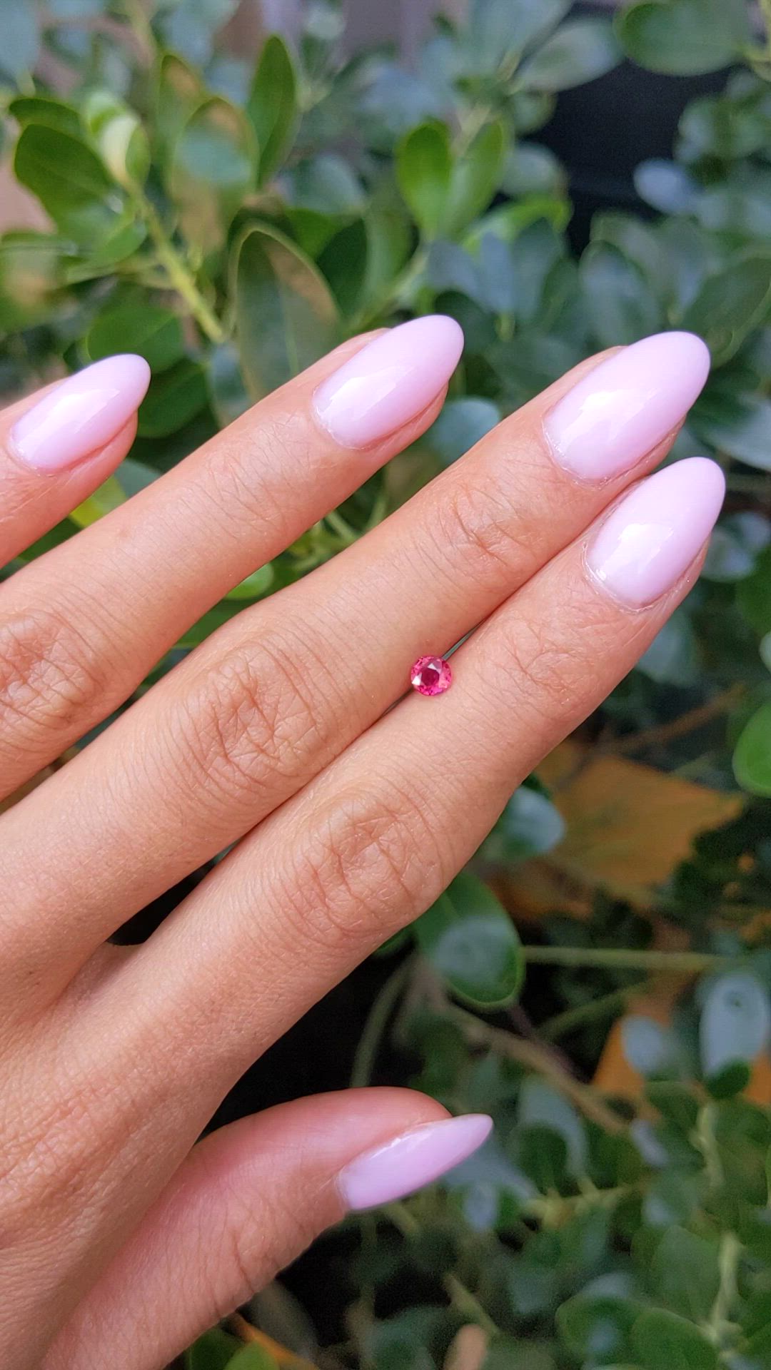 0.32 Ct. Ruby from Mozambique Size Video