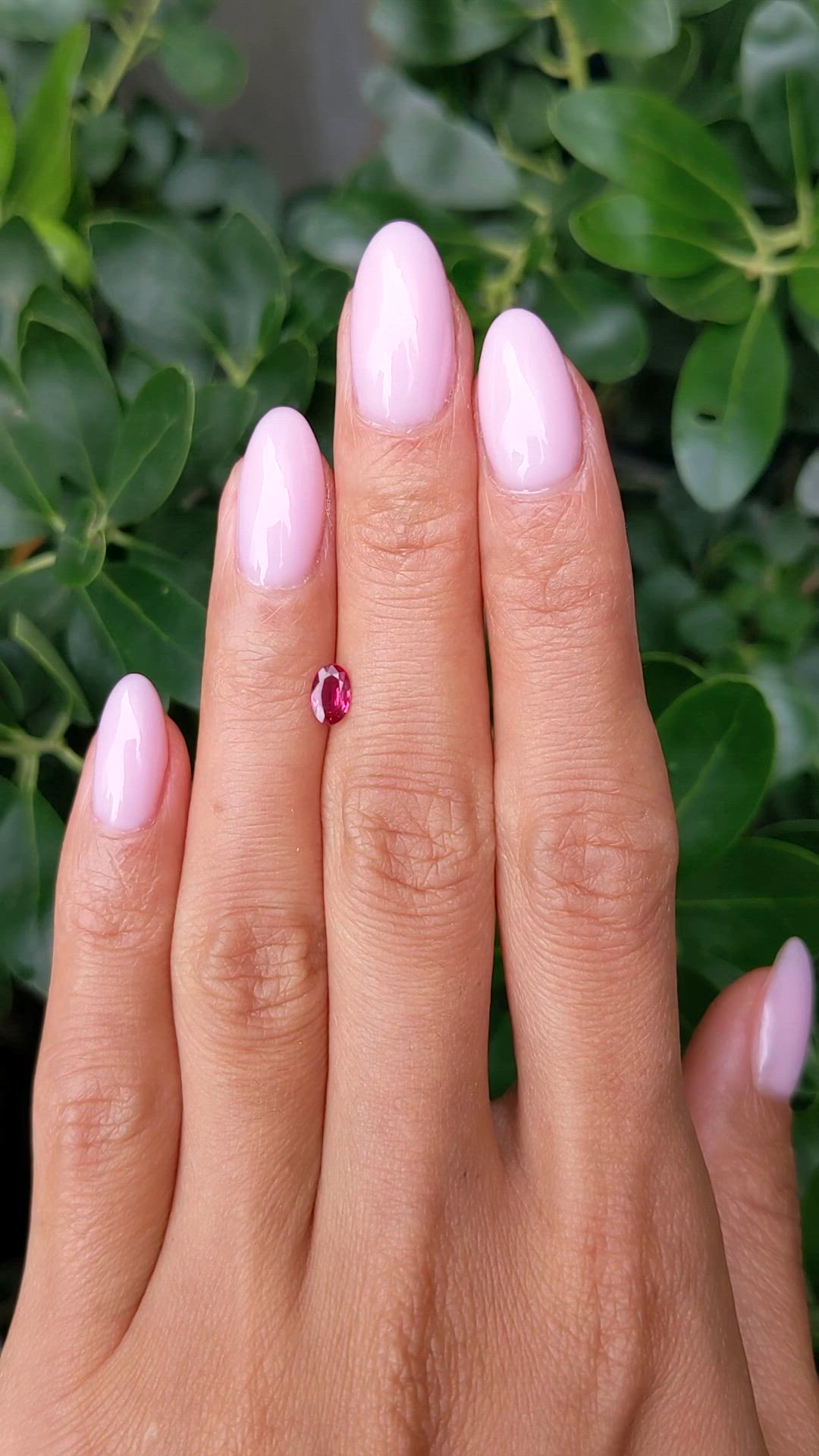 0.38 Ct. Ruby from Thailand Size Video