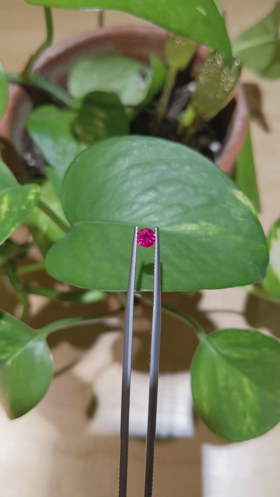 0.37 Ct. Pinkish Red Ruby from Mozambique Size Video