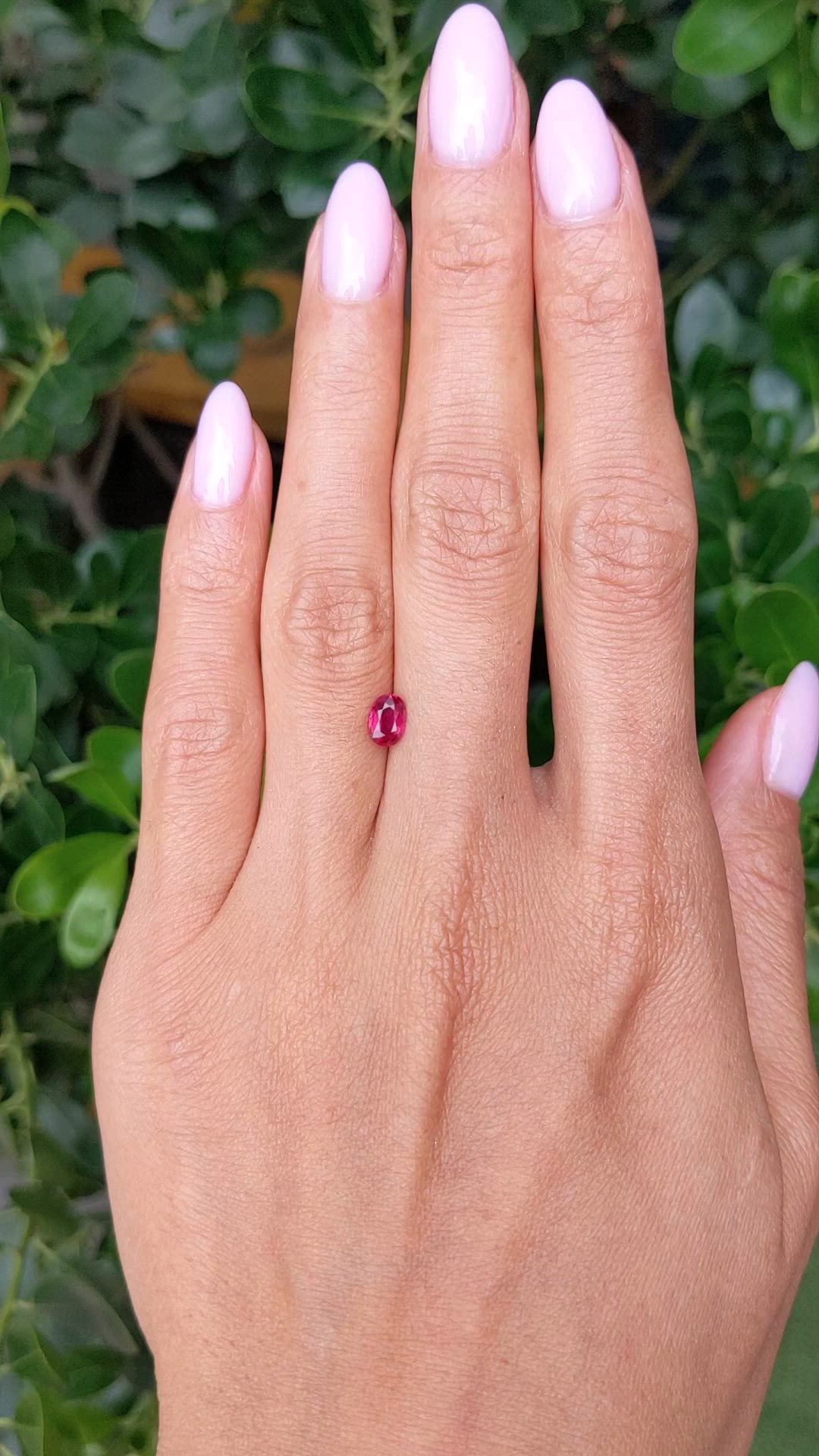 0.67 Ct. Ruby from Thailand Size Video