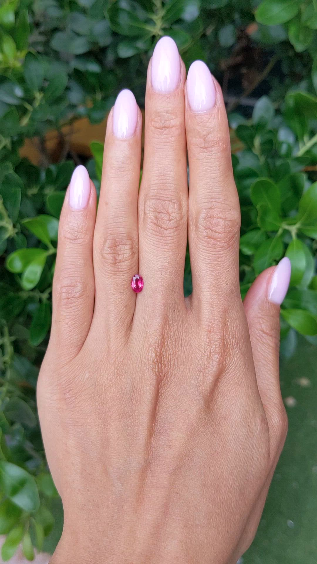 0.50 Ct. Pinkish Red Ruby from Thailand Size Video
