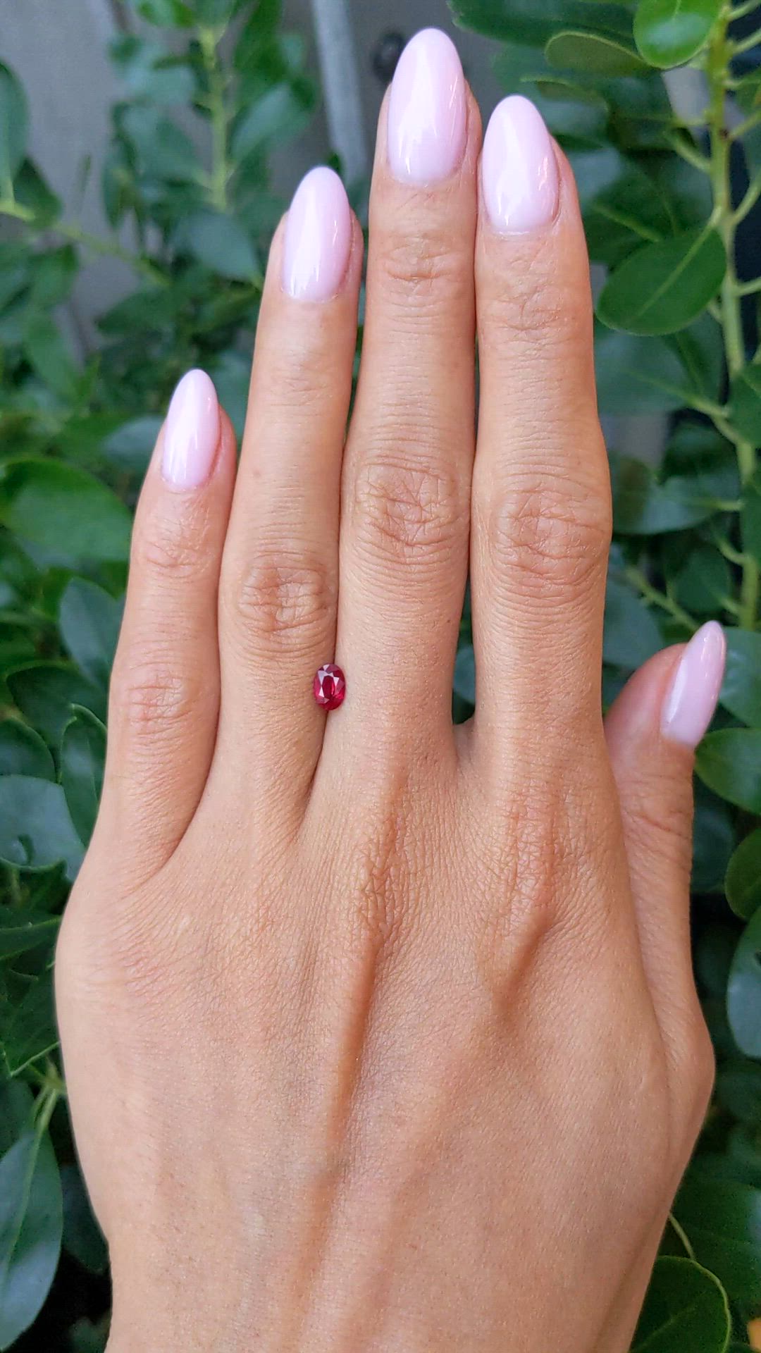 0.53 Ct. Ruby from Mozambique Size Video