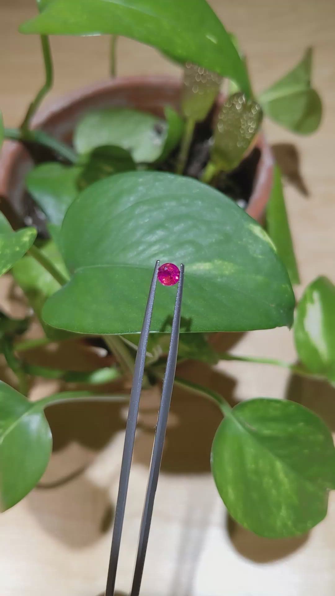 0.44 Ct. Ruby from Mozambique Size Video