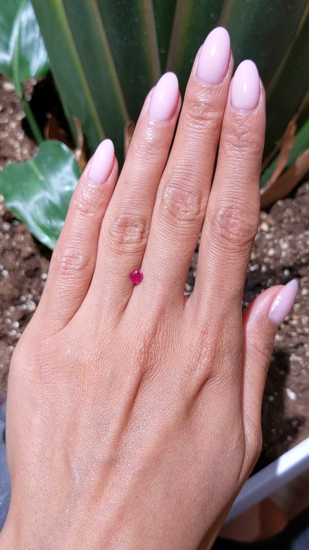 0.42 Ct. Pinkish Red Ruby from Mozambique Size Video