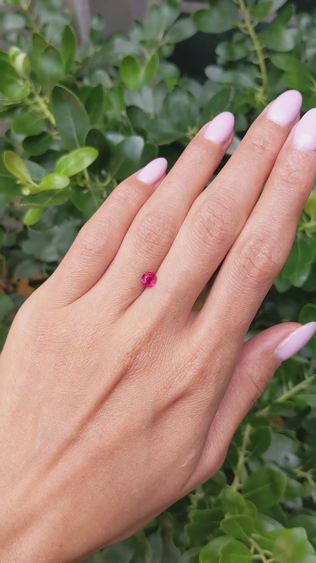 0.66 Ct. Ruby from Mozambique Size Video