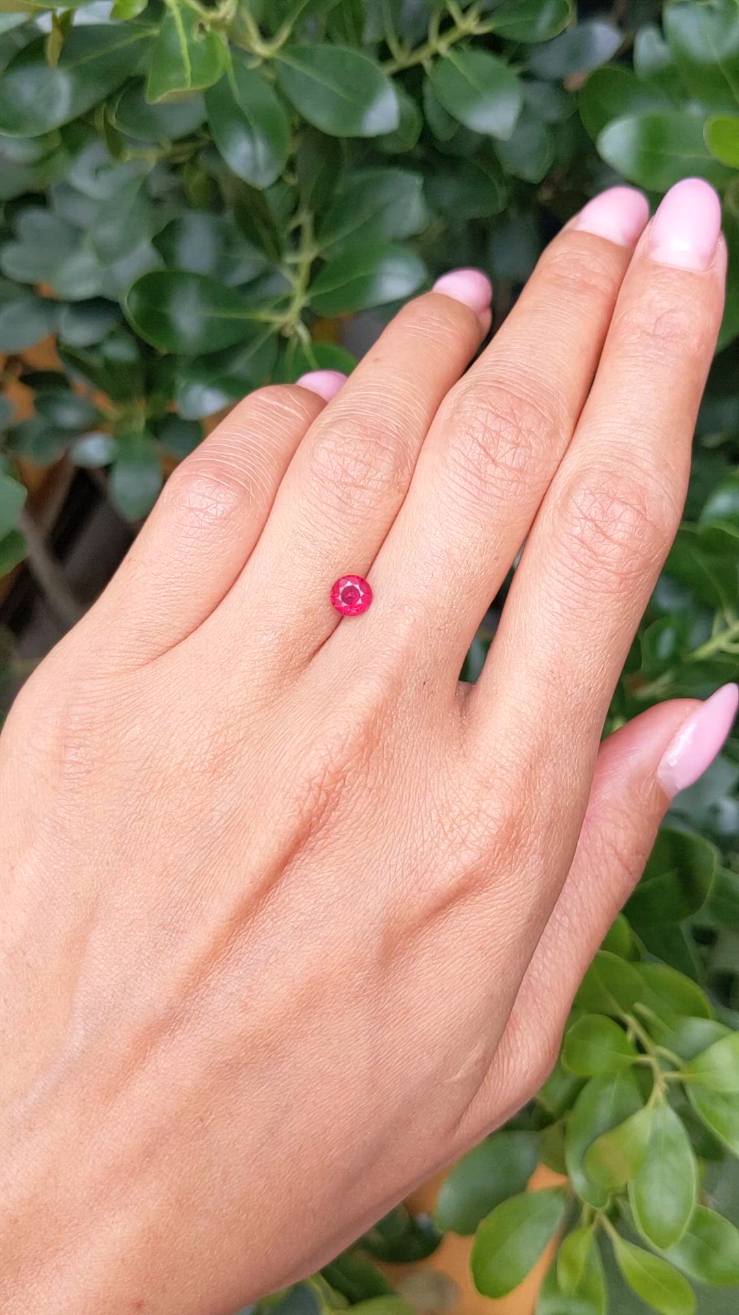 0.75 Ct. Ruby from Mozambique Size Video