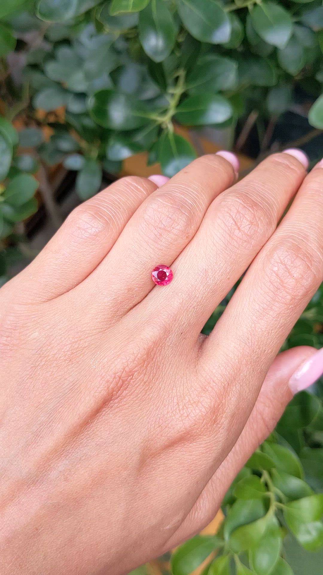 0.68 Ct. Ruby from Mozambique Size Video