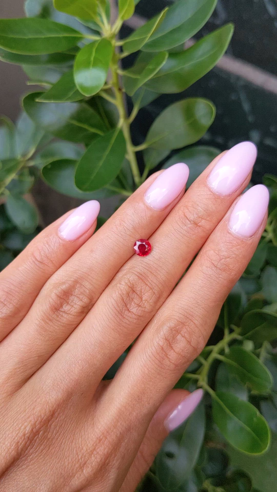 0.67 Ct. Ruby from Mozambique Size Video