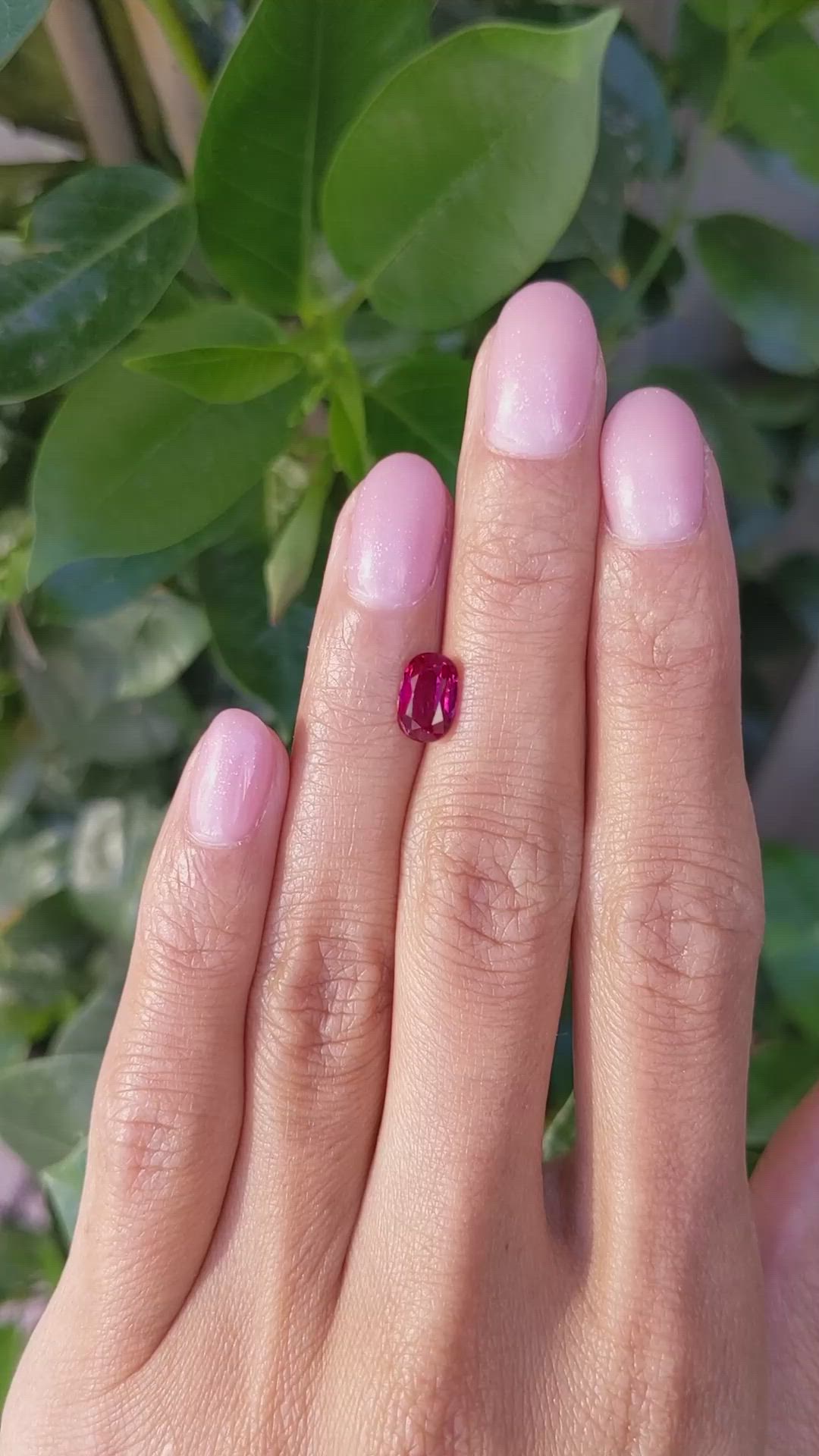 1.68 Ct. Ruby from Burma (Myanmar) Size Video