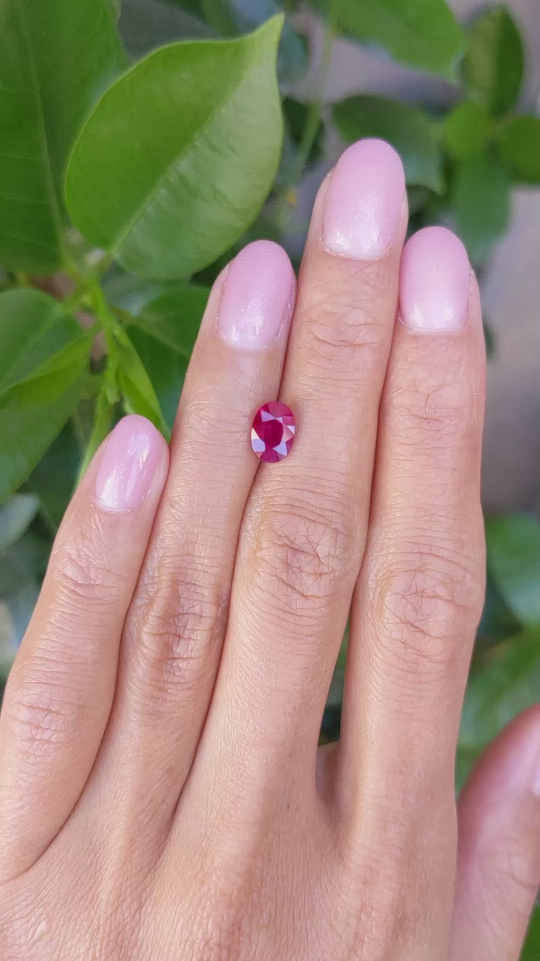 1.48 Ct. Ruby from Burma (Myanmar) Size Video