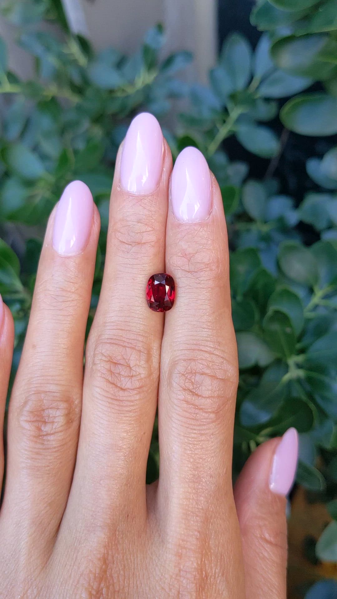 2.61 Ct. Ruby from Mozambique Size Video