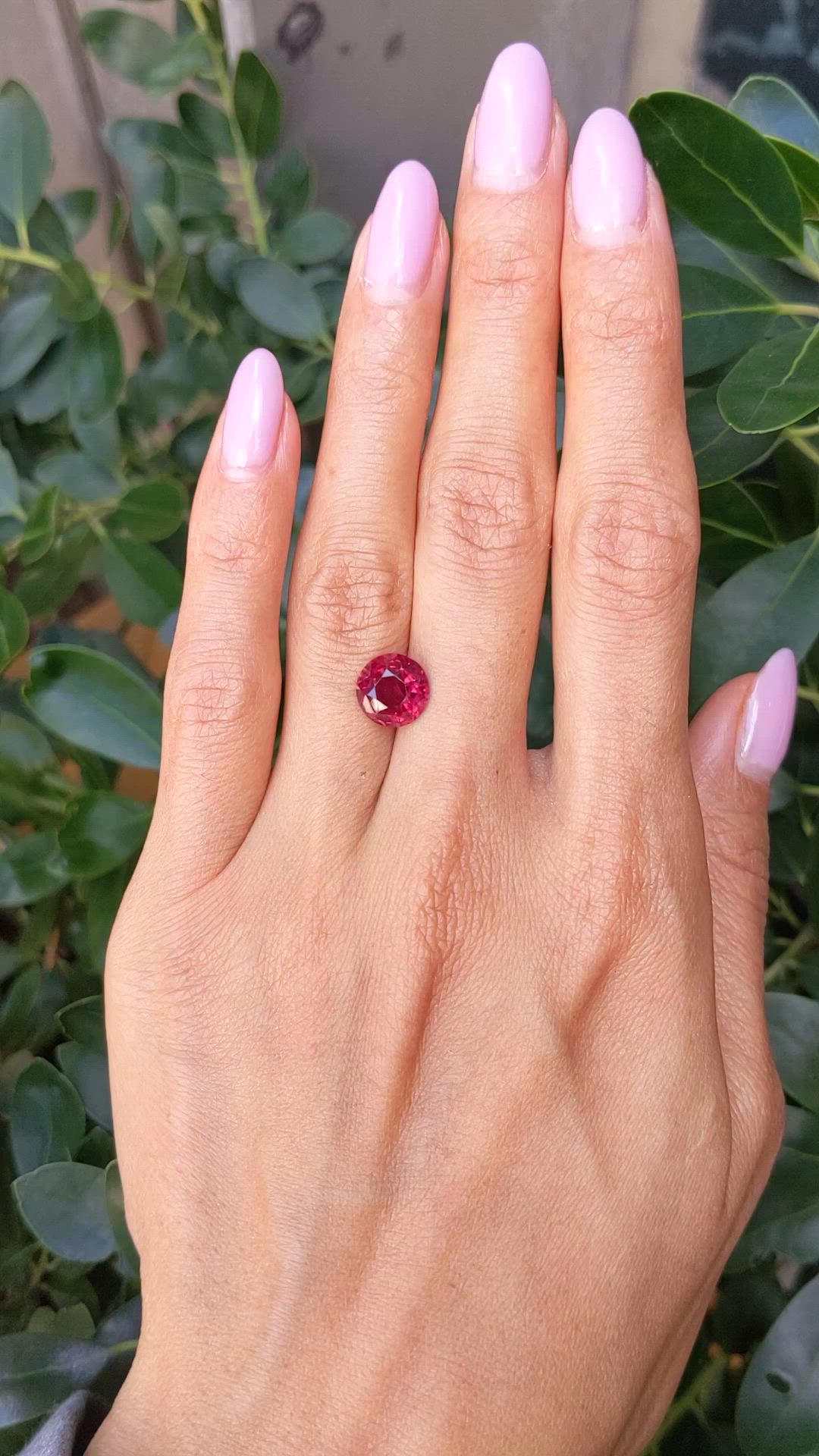 3.18 Ct. Ruby from Thailand Size Video
