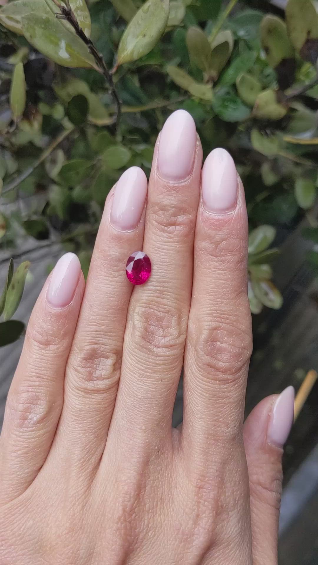 1.75 Ct. Ruby from Burma (Myanmar) Size Video