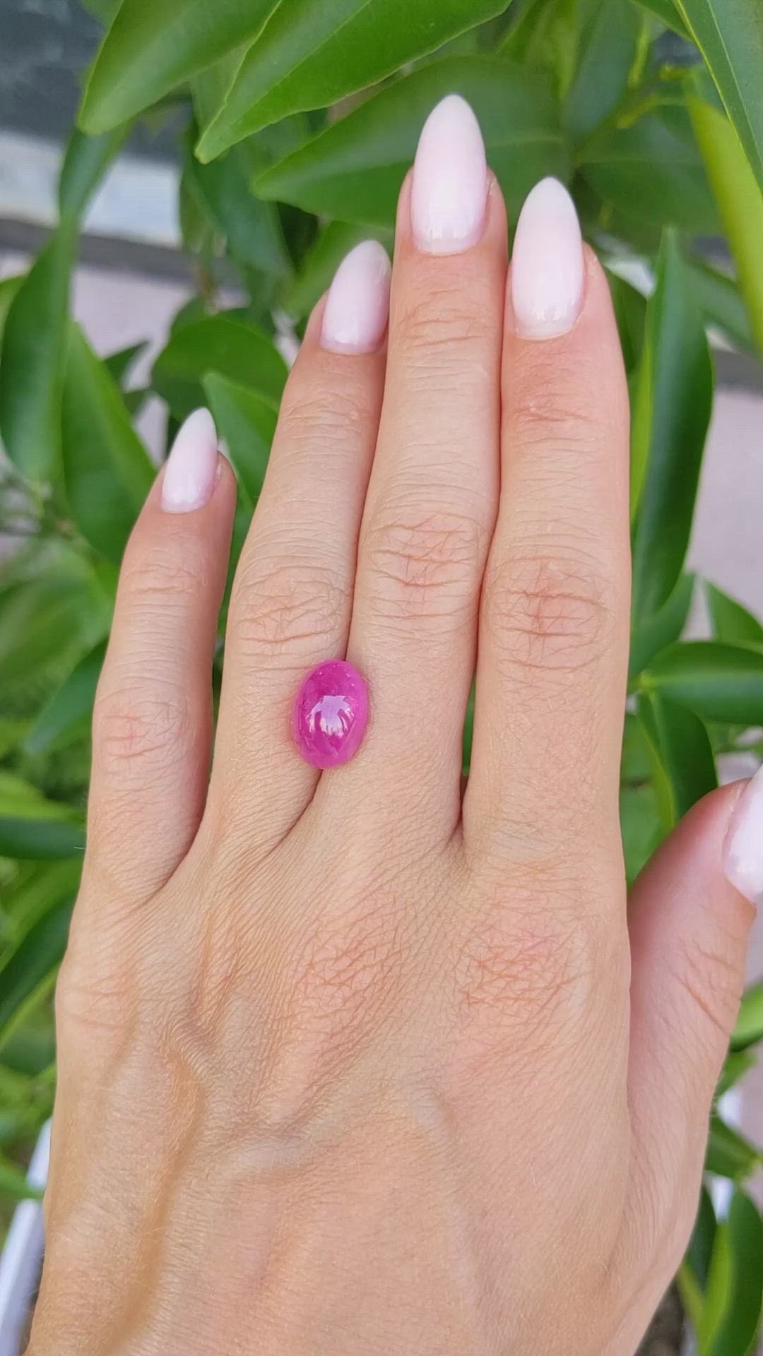 7.68 Ct. Cabochon Ruby from Mozambique Size Video