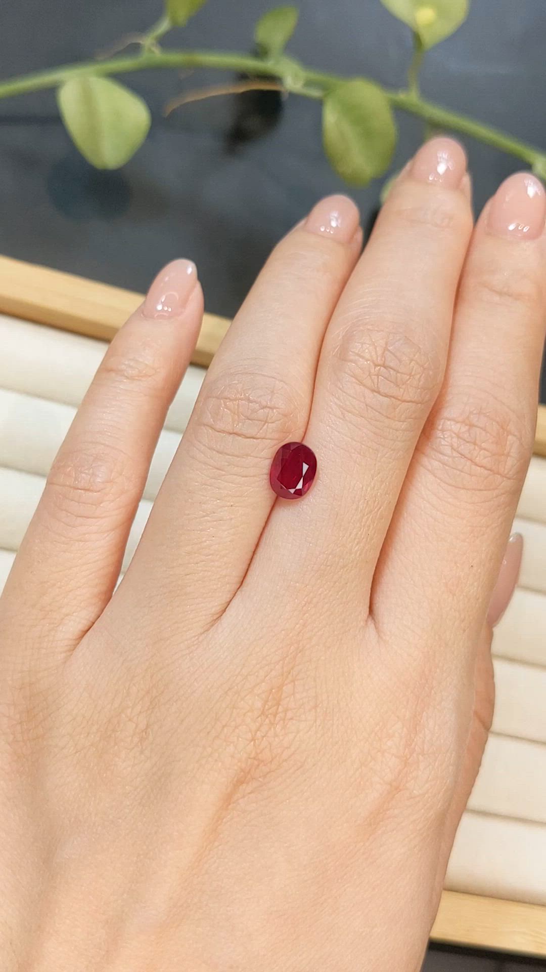 1.80 Ct. Ruby from Burma (Myanmar) Size Video