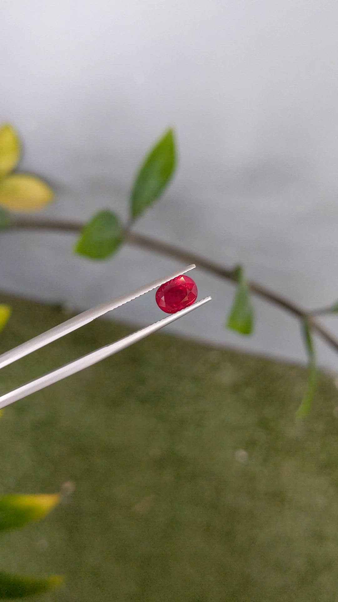 1.80 Ct. Ruby from Burma (Myanmar) Size Video
