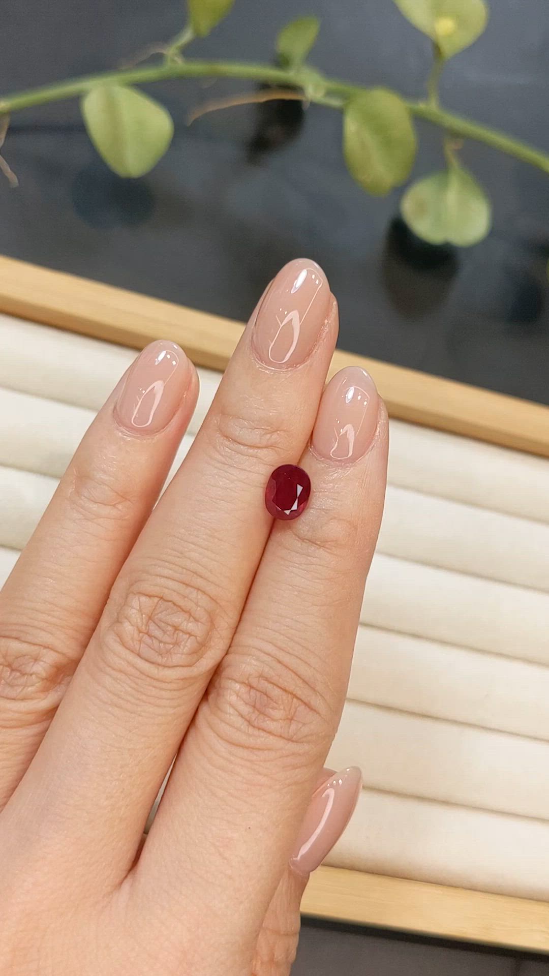 1.80 Ct. Ruby from Burma (Myanmar) Size Video
