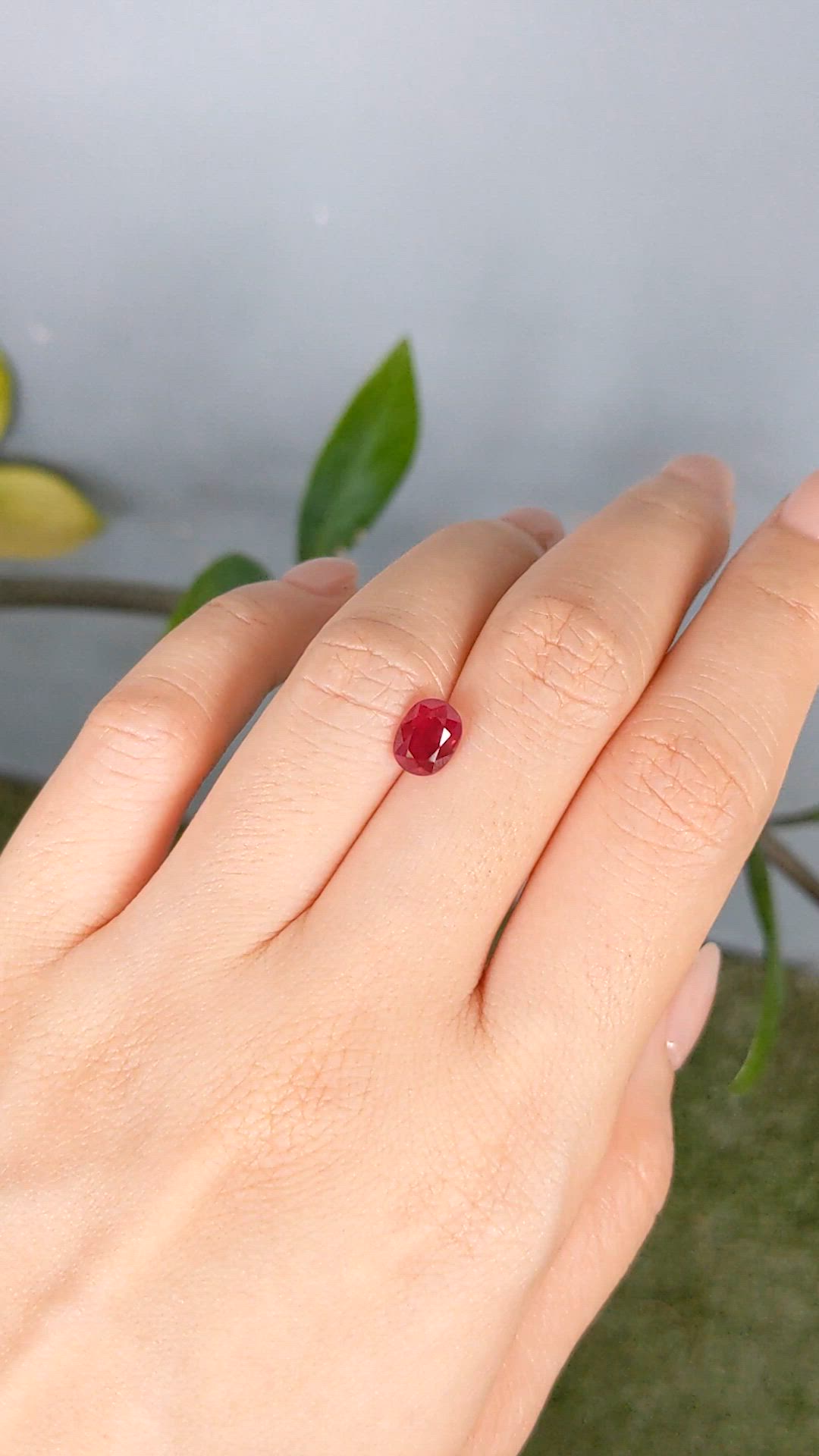 1.80 Ct. Ruby from Burma (Myanmar) Size Video