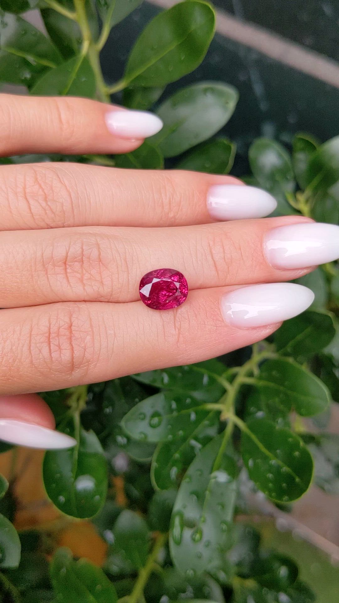 4.11 Ct. Ruby from Mozambique Size Video