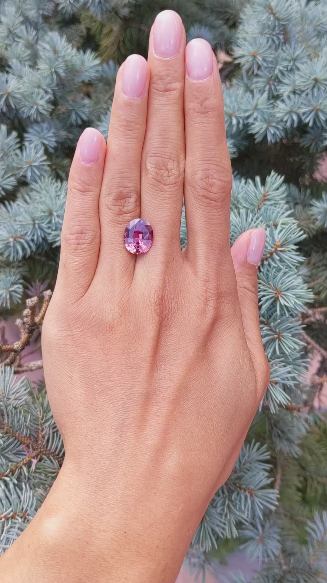 6.52 Ct. Ruby from Mozambique Size Video