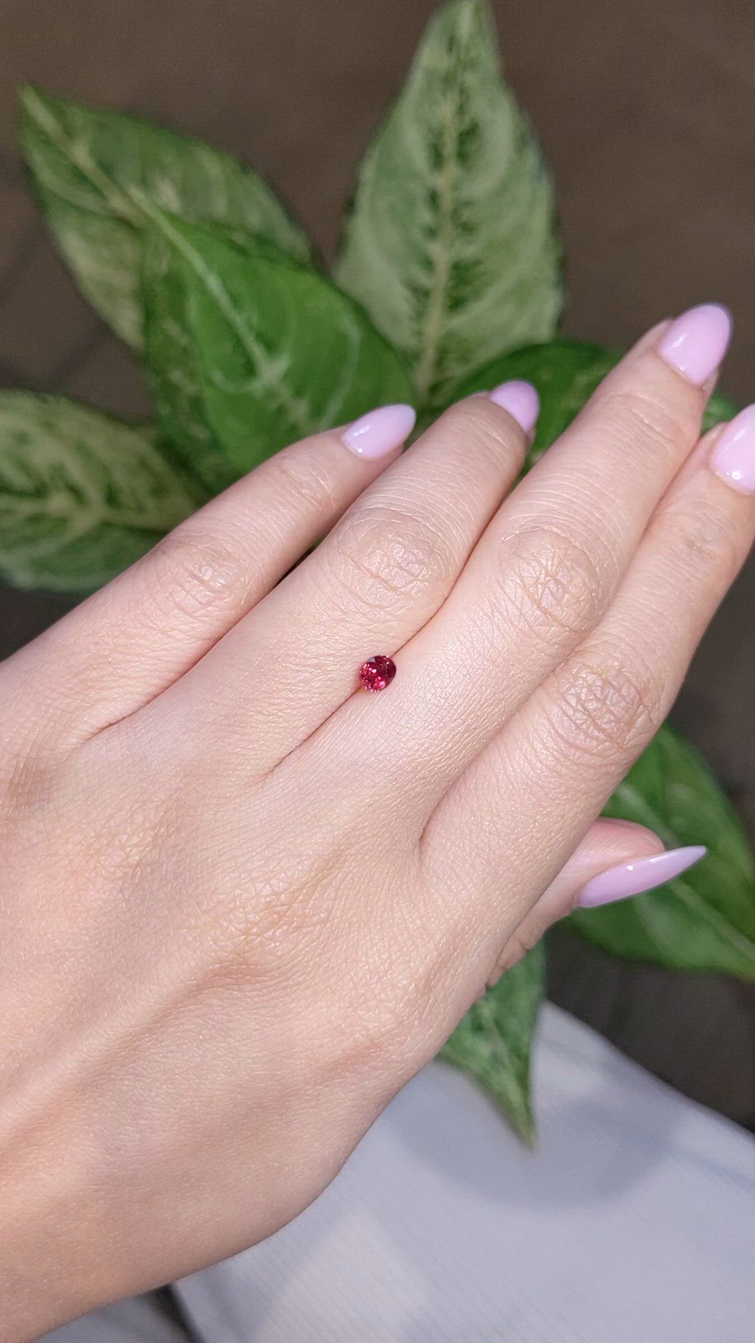 0.51 Ct. Ruby from Mozambique Size Video