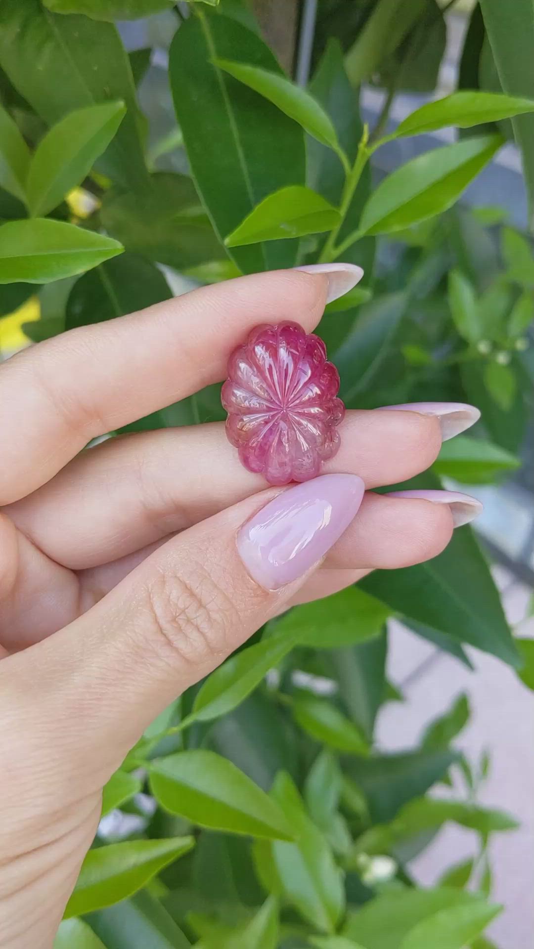 32.97 Ct. Ruby from Mozambique Size Video
