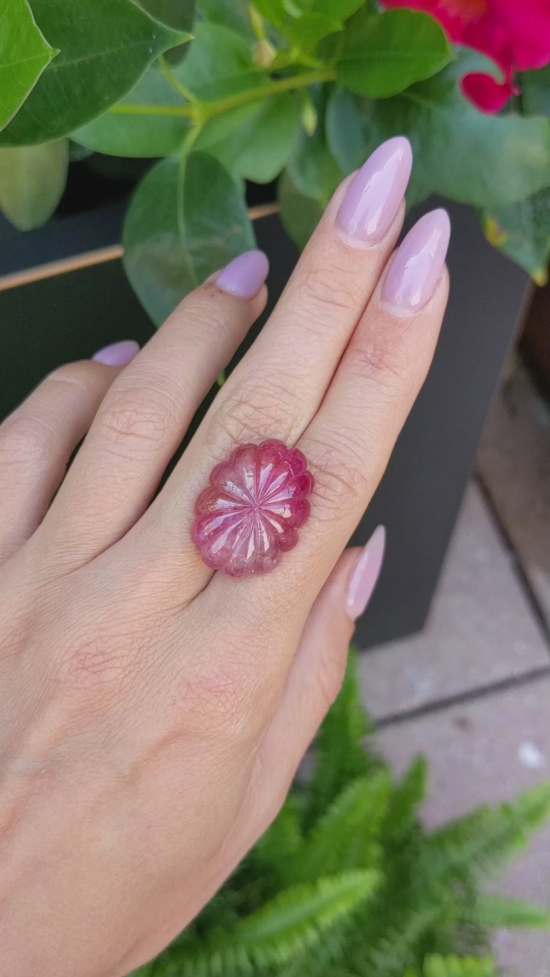 32.97 Ct. Ruby from Mozambique Size Video