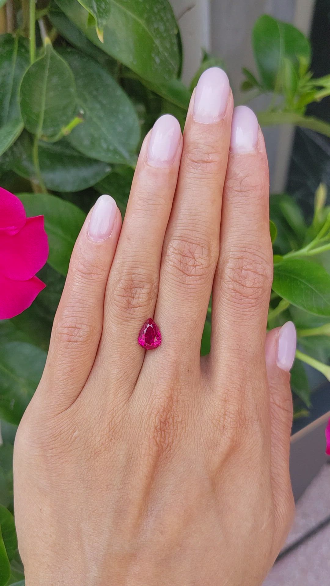 2.06 Ct. Ruby from Mozambique Size Video