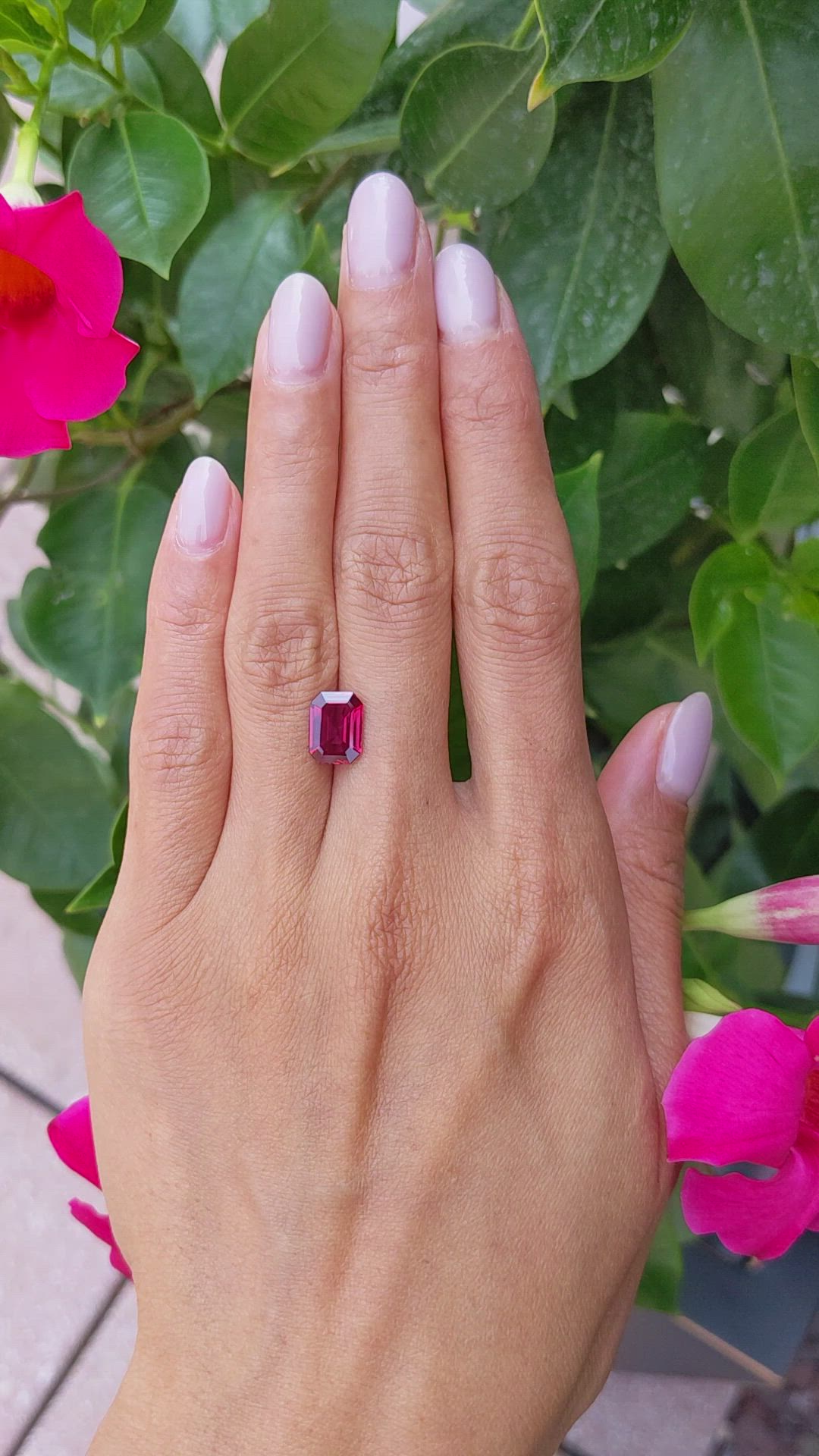 2.39 Ct. Ruby from Mozambique Size Video