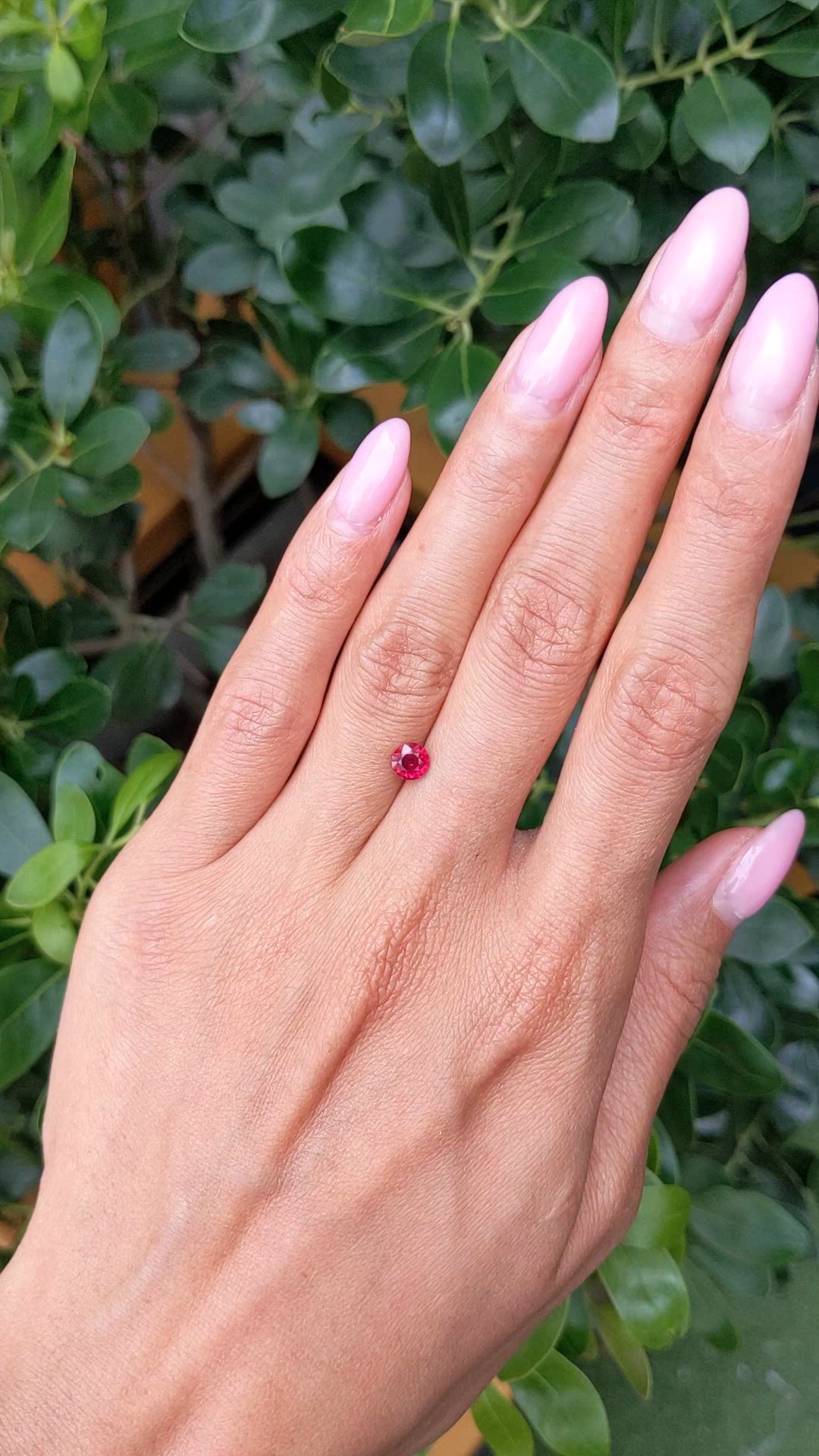 0.79 Ct. Ruby from Mozambique Size Video