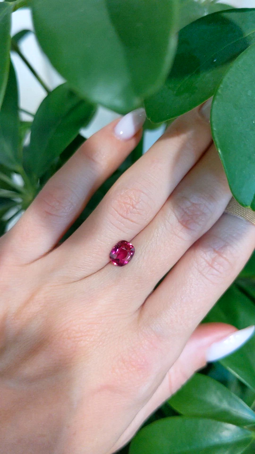 1.55 Ct. Purplish Red Ruby from Mozambique Size Video