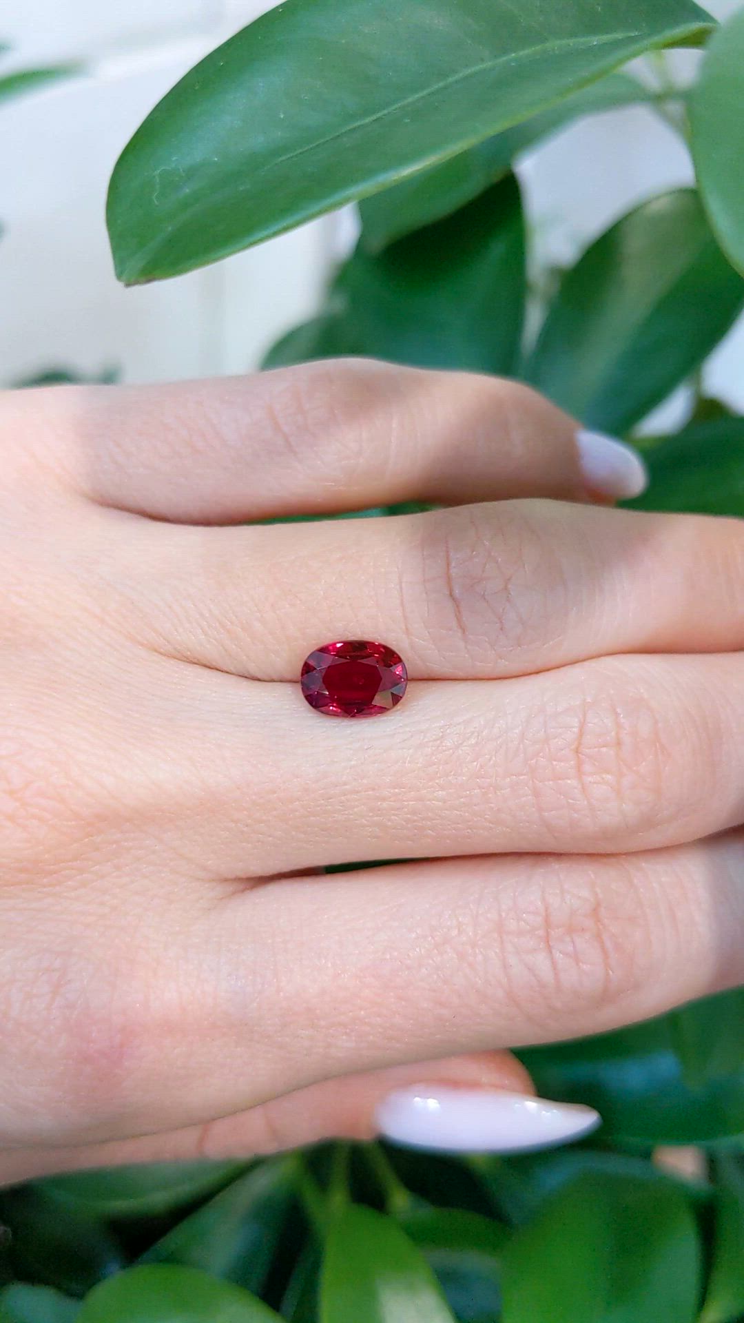 2.03 Ct. Ruby from Mozambique Size Video