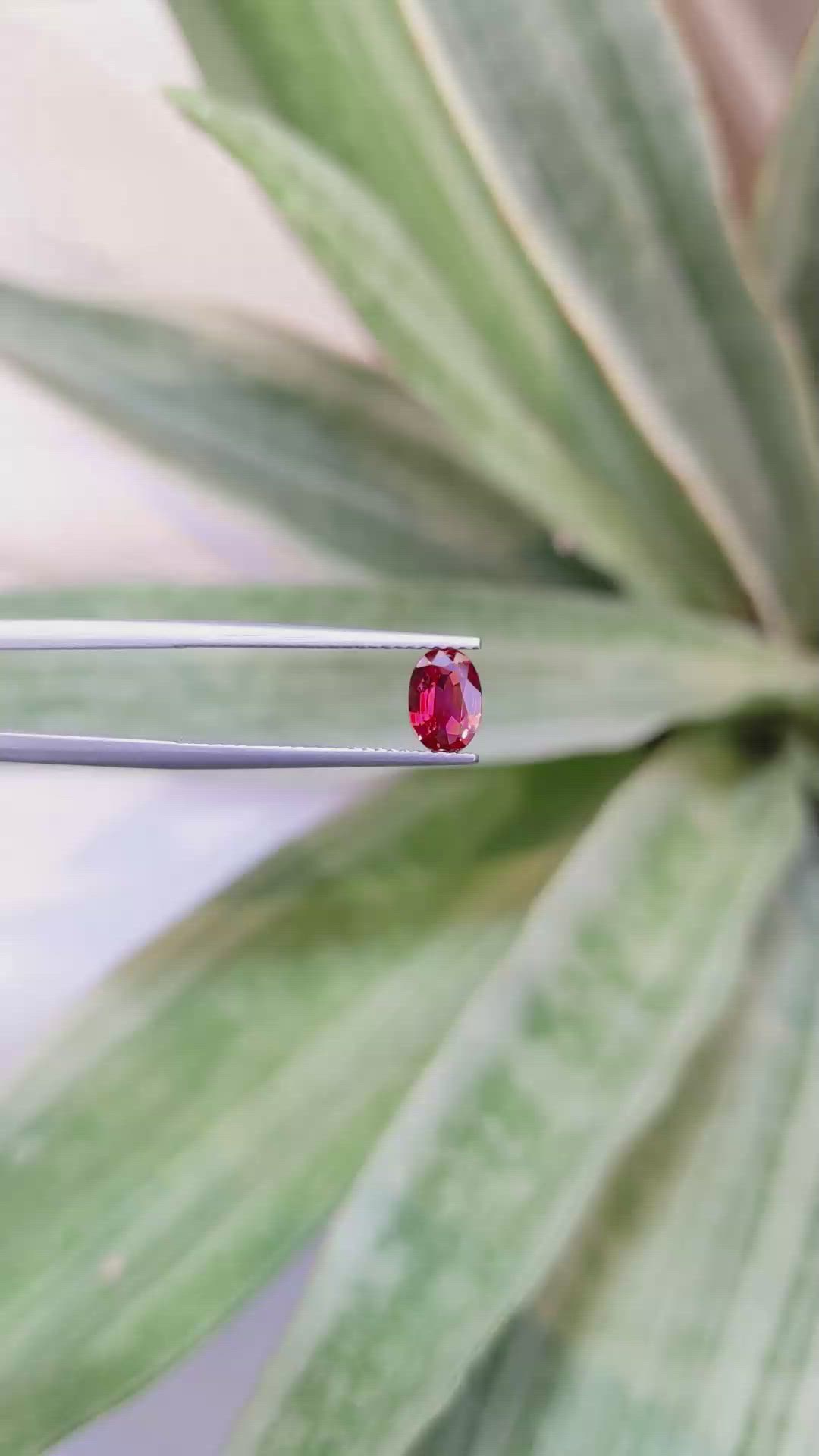 0.67 Ct. Ruby from Mozambique Size Video