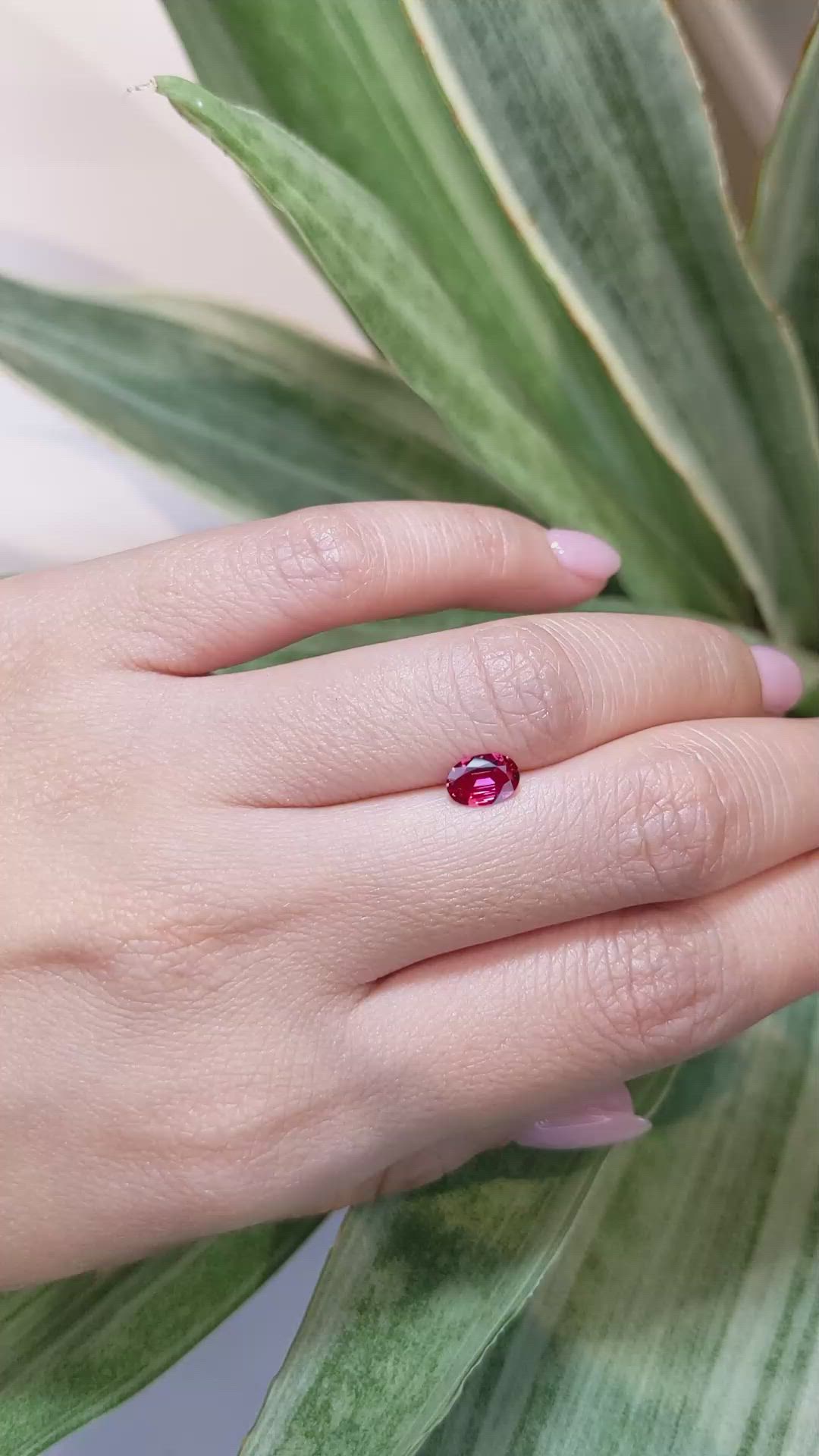 0.67 Ct. Ruby from Mozambique Size Video