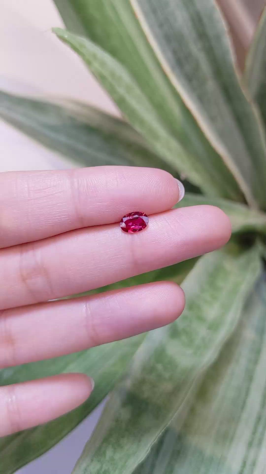 0.67 Ct. Ruby from Mozambique Size Video