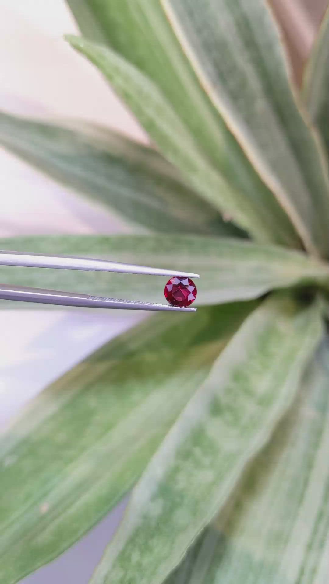 1.05 Ct. Ruby from Mozambique Size Video